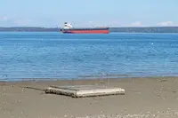 View 69