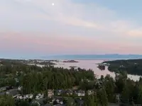 View 62