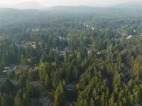 View 41