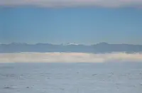 View 40