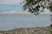 View 39