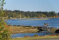 View 32