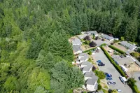 View 50
