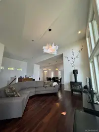 View 14