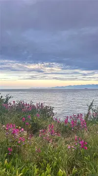 View 52