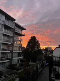 View 53