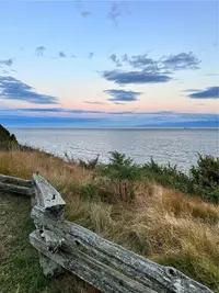 View 51