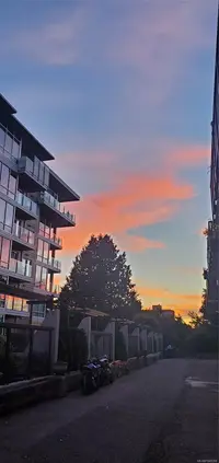 View 54