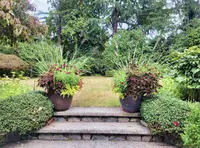 View 28