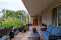 View 24