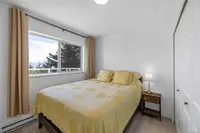 View 41