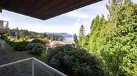 View 49