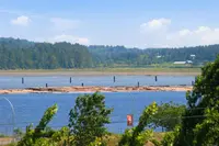 View 35