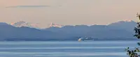 View 23