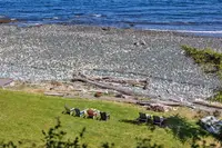 View 24
