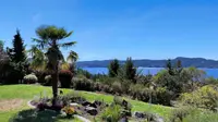 View 77