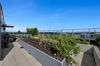 View 29