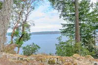 View 61