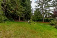View 31