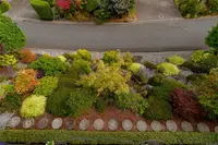 View 38