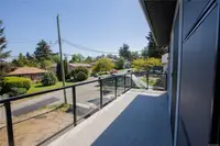 View 81