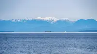 View 13