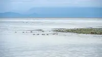 View 61