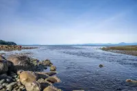 View 49