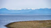 View 51