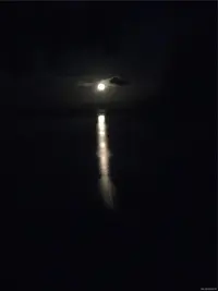 View 77