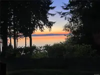 View 81