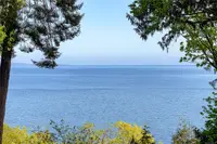View 55