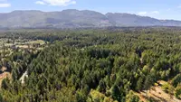 View 73