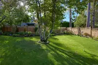View 63