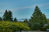 View 71