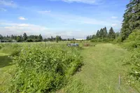 View 14