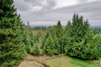 View 12