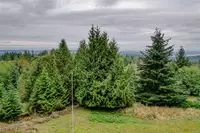View 11