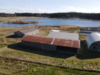 View 31
