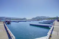 View 31