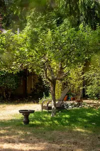 View 32