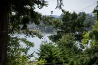 View 19