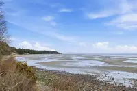 View 19
