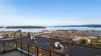 View 53