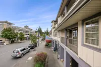 View 31