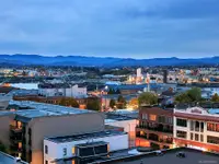 View 39