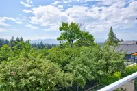 View 37