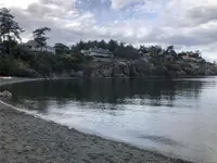 View 62