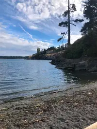 View 60
