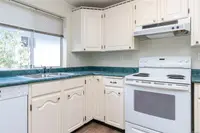 View 12